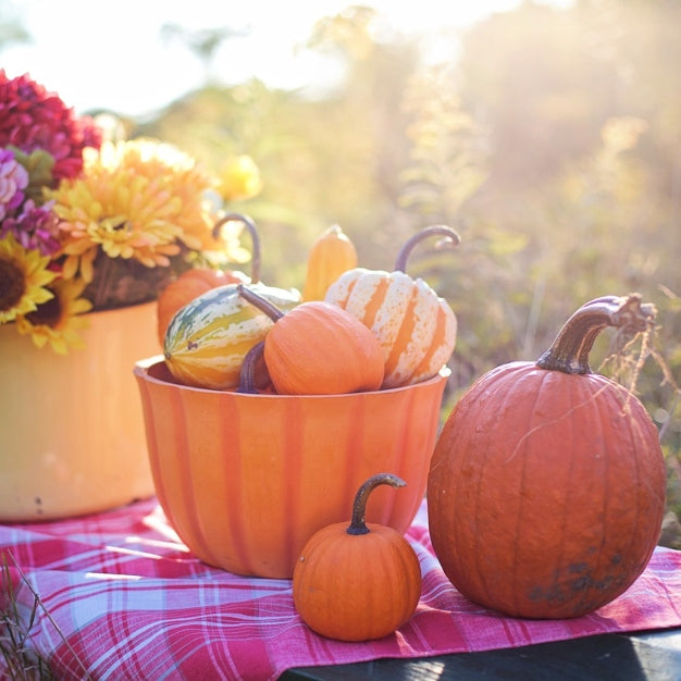 Autumn Wax Melt Mystery Box