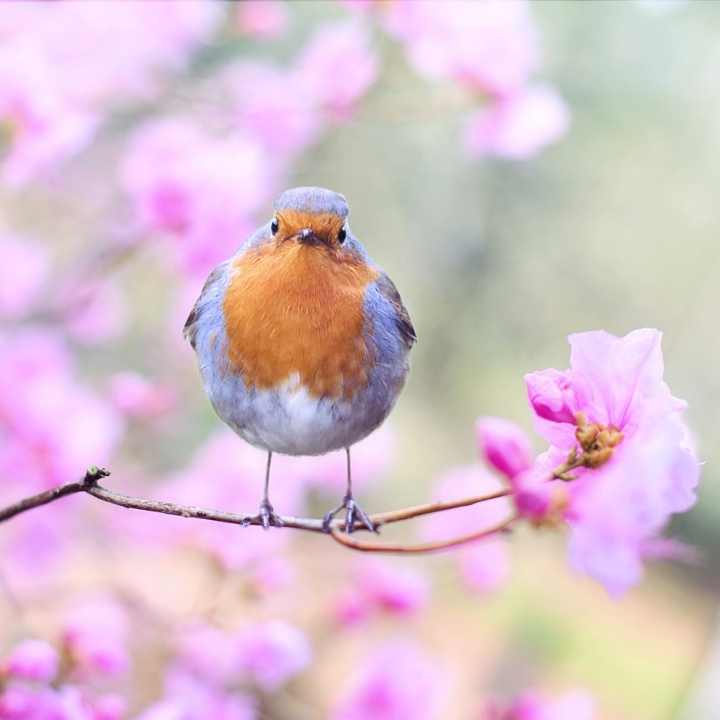 Spring Wax Melt Mystery Box