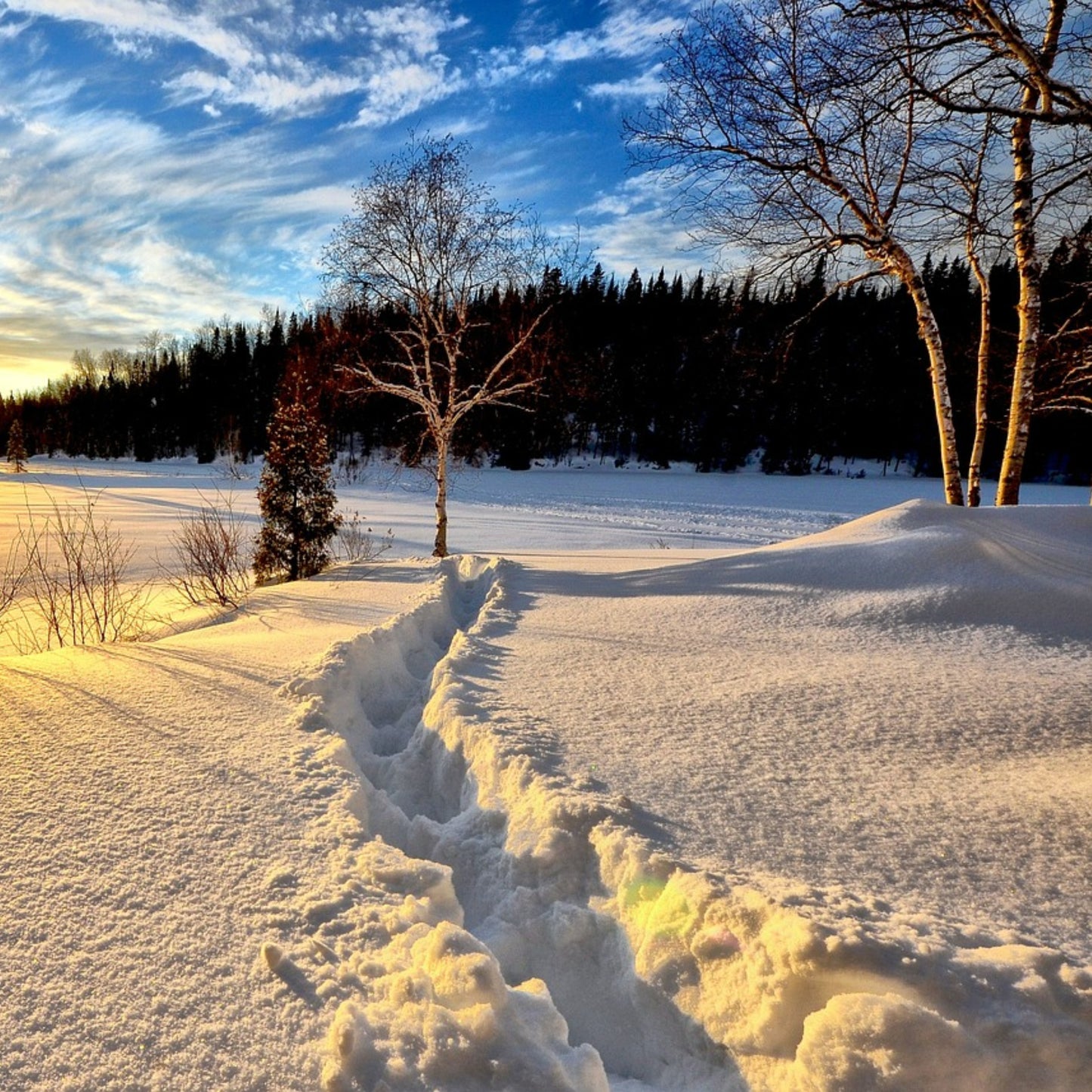 Winter Wax Melt Mystery Box