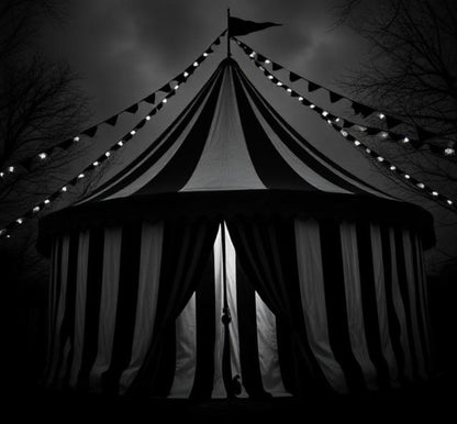 Art The Clown Wax Melts