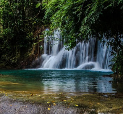 Jamaica - Rainforest Waterfall Wax Melts