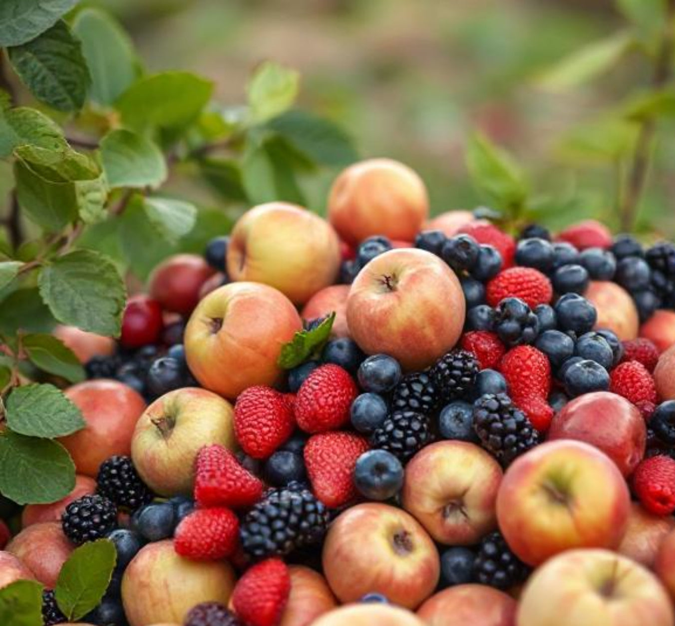 Berry Delightful Wax Melts