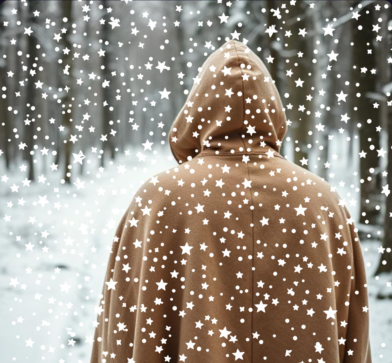 Honeyed Cloak Wax Melts