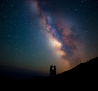 After Midnight Wax Melts