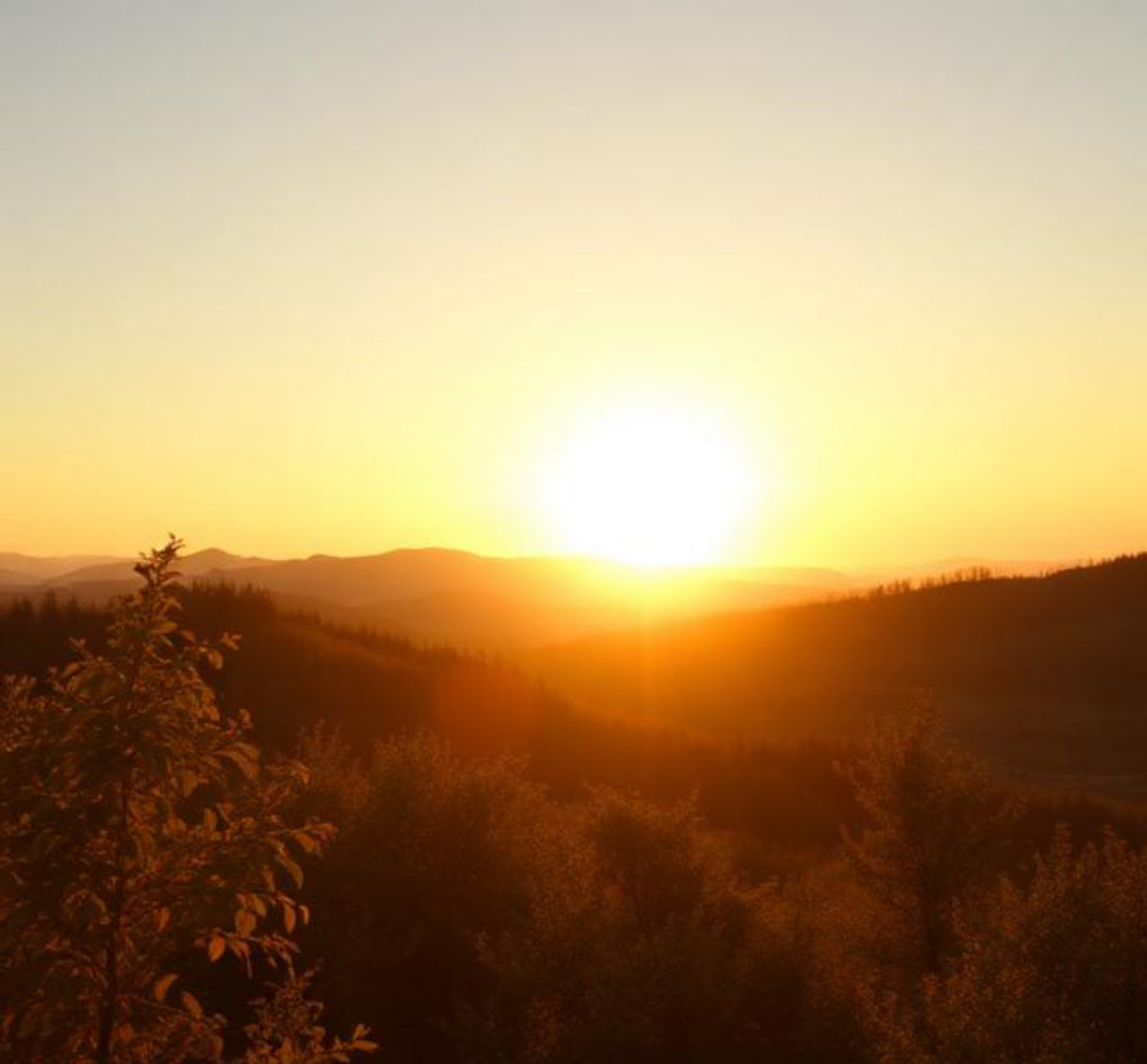 Golden Hour Wax Melts