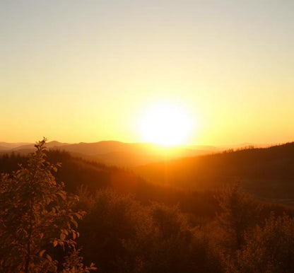 Golden Hour Wax Melts