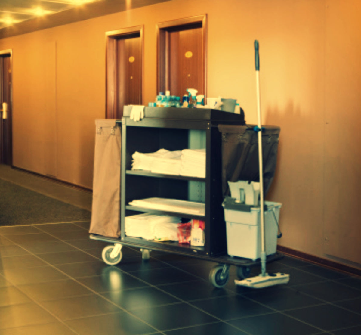 Housekeeping Wax Melts