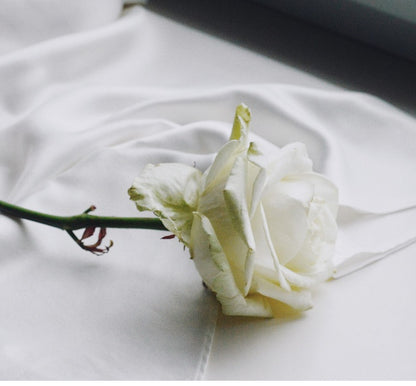 Coriolanus Wax Melts