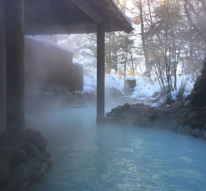 Japan - Onsen Wax Melts