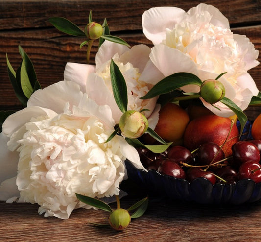 Peony Blossom & Peach Wax Melts