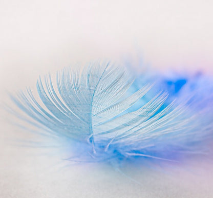 DG Light Blue Wax Melts -  Perfume Dupe