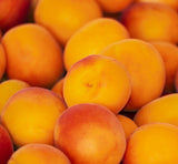 Apricot Wax Melts