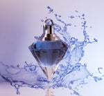 D&G Wax Melts (Perfume Dupe)