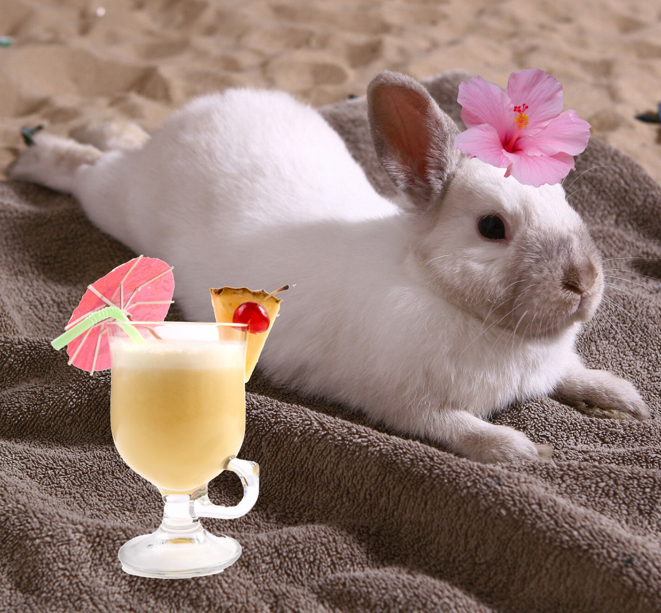 Sun Your Buns Wax Melts