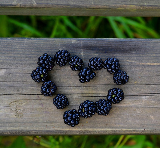 Cedar, Sage, & Blackberry Wax Melts