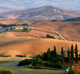 Tuscan Fields Wax Melts