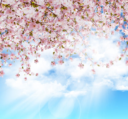 Sakura Blossom Wax Melts - Lushies Dupe
