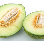 Honeydew Melon Wax Melts