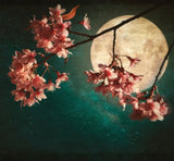 Moon Blossom Wax Melts