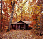 Autumn Lodge Wax Melts
