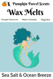 Sea Salt & Drift Wood  - Mermaid Wax Melts